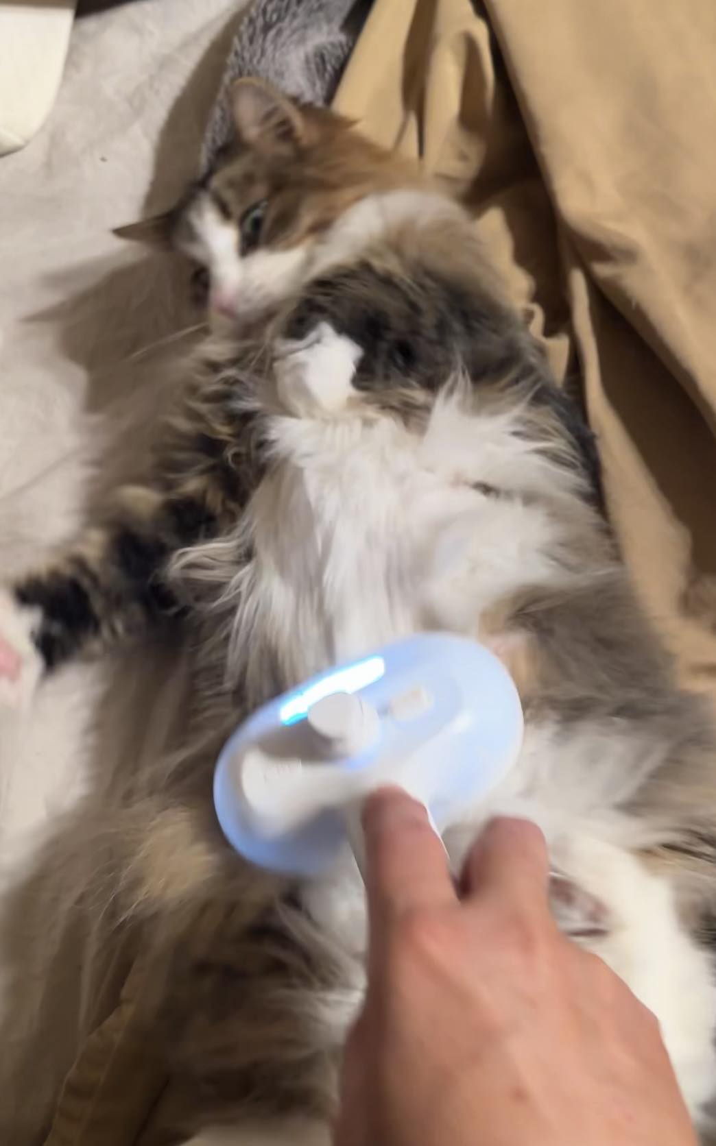 HydroLux Brush