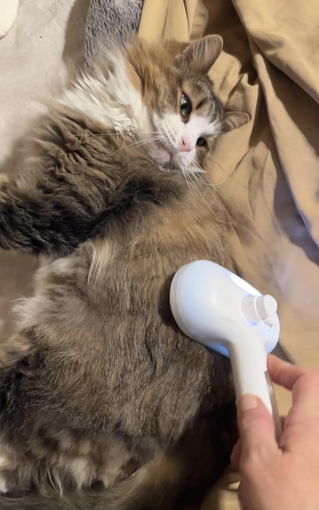 HydroLux Brush